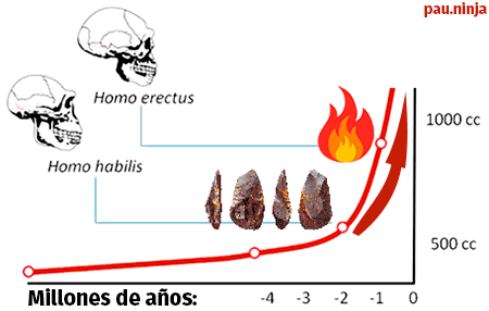 armas vs fuego