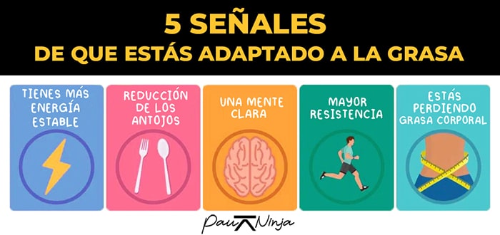 cetoadaptación