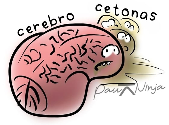 cetonas y cerebro