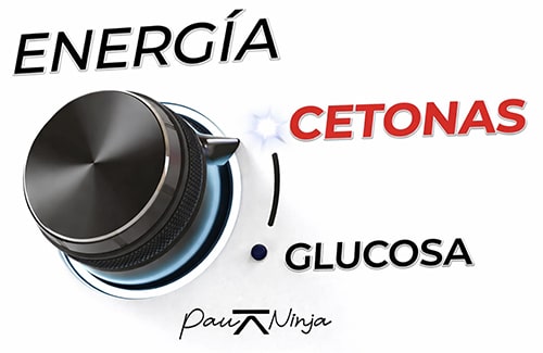 energía cetonas glucosa