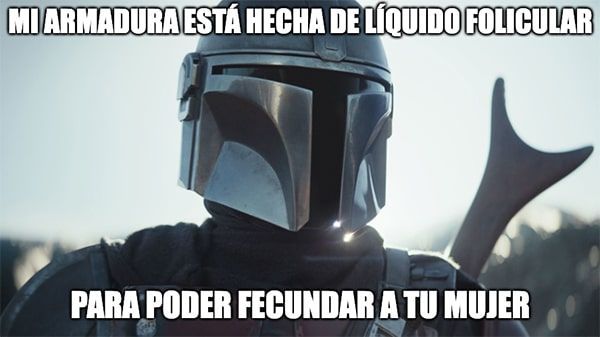 meme líquido folicular