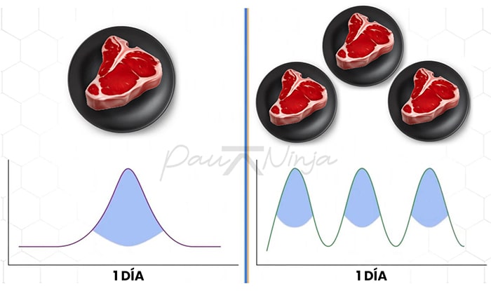 distribución de proteina a lo largo del día